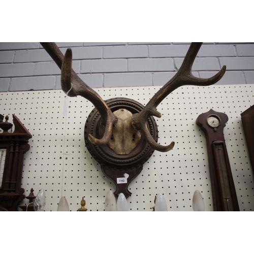 380 - Antique French antlers on well carved backboard mount, antlers approx 70cm H x 60cm W