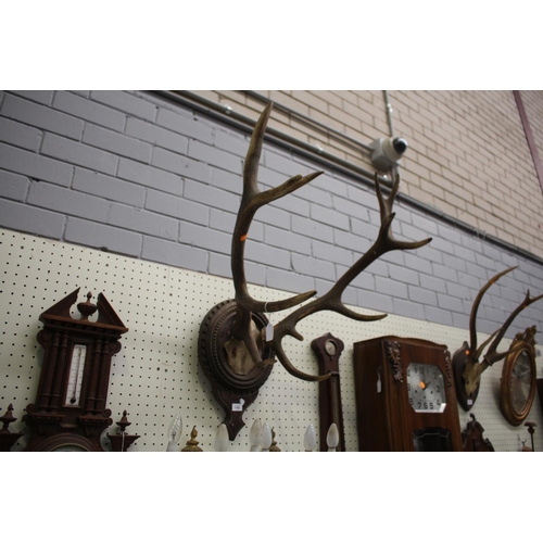 380 - Antique French antlers on well carved backboard mount, antlers approx 70cm H x 60cm W