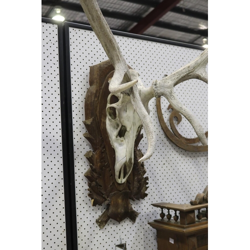 312 - Large set of antlers on carved wood backboard, approx 92cm H x 92cm W