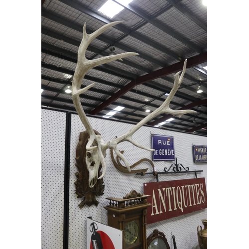 312 - Large set of antlers on carved wood backboard, approx 92cm H x 92cm W