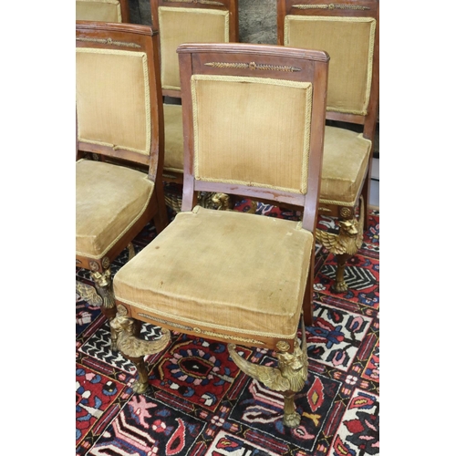 65 - Set of six most impressive & rare antique French Empire style chairs, each front leg mounted with ca... 