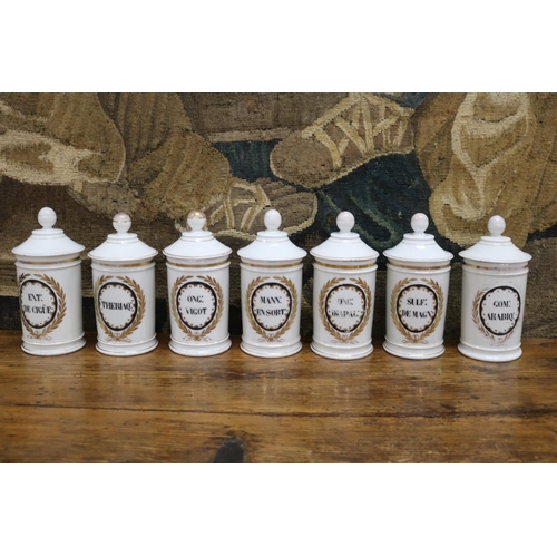 64 - Set of seven French porcelain chemist bottles, each painted to front, each approx 20cm H