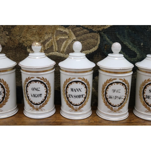 64 - Set of seven French porcelain chemist bottles, each painted to front, each approx 20cm H