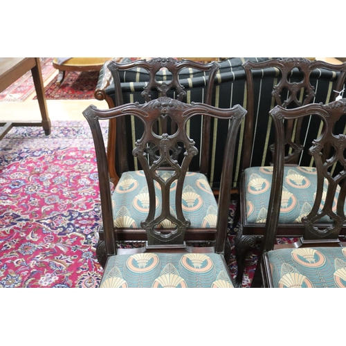 34 - Set of six English Chippendale design dining chairs, cared shade backs with drop in seats (6)