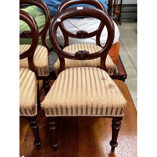 239 - Four antique balloon back chairs (4)