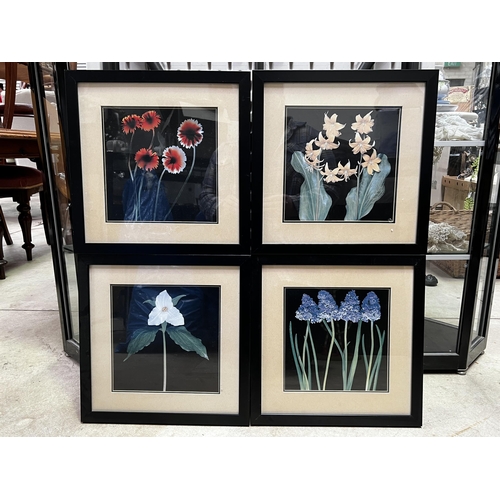 150 - Four prints of flowers, each approx 24cm Sq