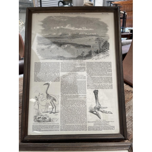 617 - Two antique double glazed pages from the London Illustrated News, dated March 1844 & May 1850  relat... 