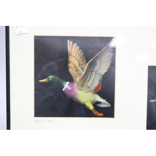 165 - Robin Nichols, Flying ducks, signed on the margin, approx 33cm x 60cm (frame size)