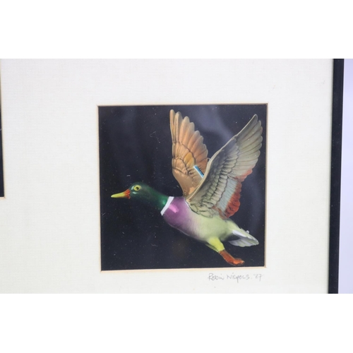 165 - Robin Nichols, Flying ducks, signed on the margin, approx 33cm x 60cm (frame size)