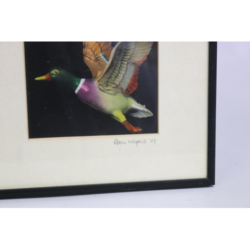 165 - Robin Nichols, Flying ducks, signed on the margin, approx 33cm x 60cm (frame size)