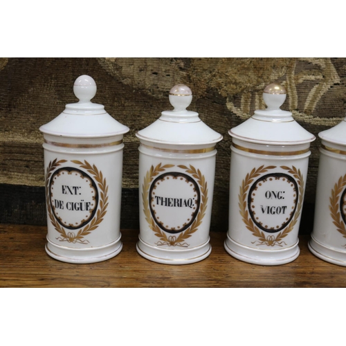 1750 - Set of seven French porcelain chemist bottles, each painted to front, each approx 20cm H (7)