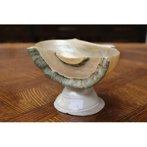 1660 - Decorative shell bowl, approx 12cm H x 19cm W x 16cm D