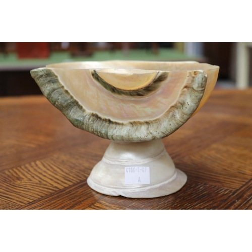 1660 - Decorative shell bowl, approx 12cm H x 19cm W x 16cm D