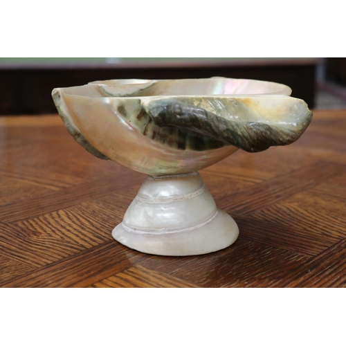 1660 - Decorative shell bowl, approx 12cm H x 19cm W x 16cm D