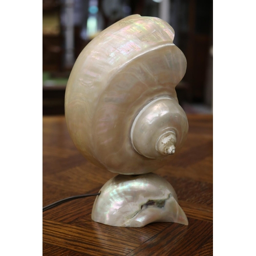 1685 - Decorative shell light, working at time of inspection, approx 22cm H x 13cm W