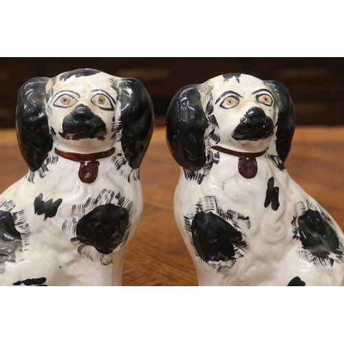 1686 - Pair antique Staffordshire dog figures, each approx 21cm H x 15cm W