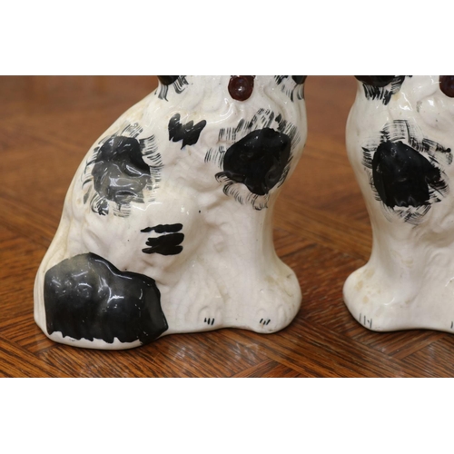 1686 - Pair antique Staffordshire dog figures, each approx 21cm H x 15cm W