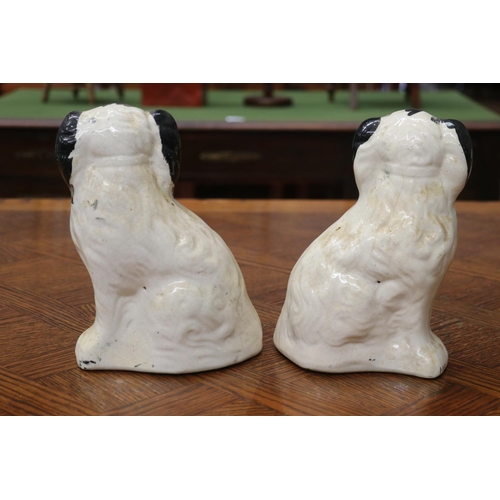 1686 - Pair antique Staffordshire dog figures, each approx 21cm H x 15cm W