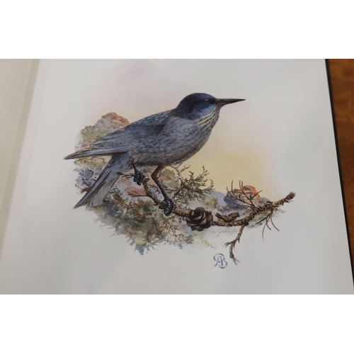 244 - The Birds of California - A Complete Scientific and Popular Account of the 580 Species and Subspecie... 