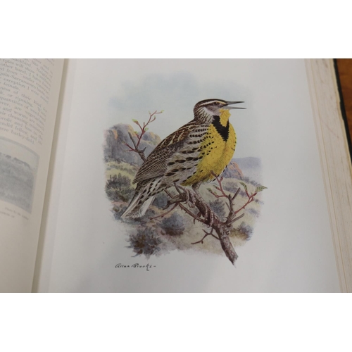 244 - The Birds of California - A Complete Scientific and Popular Account of the 580 Species and Subspecie... 