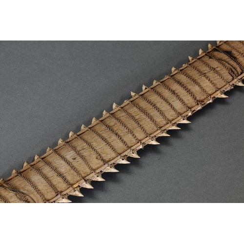 5 - Fine Large Kiribati Islands Shark-tooth Ceremonial Sword, Micronesia. Palm-wood, palm leaf, shark te... 