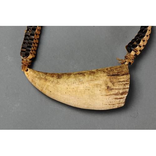 16 - Presentation Fijian Whale Tooth Pendant Necklace (Tabua) Fiji islands. Carved sperm whale tooth and ... 