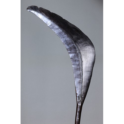 31 - Fine Qauata Parrying Shield, San Cristobel, Solomon Islands. Carved and engraved hardwood. Fine, ear... 