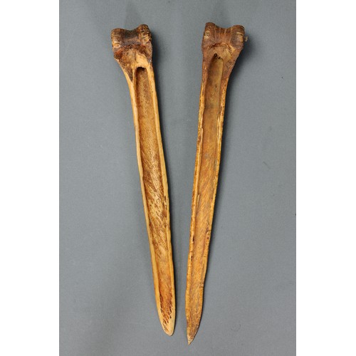 124 - Pair of Abelam Cassowary Bone Daggers, Yina, East Sepik Province, Papua New Guinea. Carved and engra... 