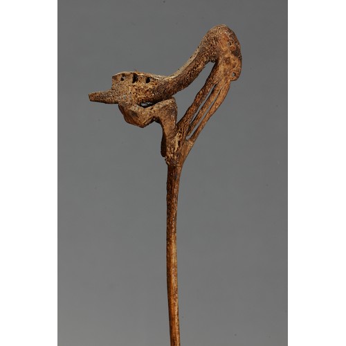 130 - Pair of Lime Spatulas, Iatmul, Middle Sepik, Papua New Guinea. Carved cassowary bone. Lime stick is ... 