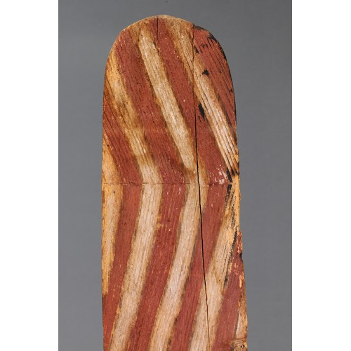 150 - Early Large Wunda Shield,  Lombadina Area, Western Australia. Carved and engraved wood and natural p... 