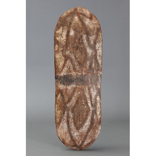 152 - Rare early GULMARI SHIELD, North Eastern Queensland. Carved and engraved hardwood and natural pigmen... 