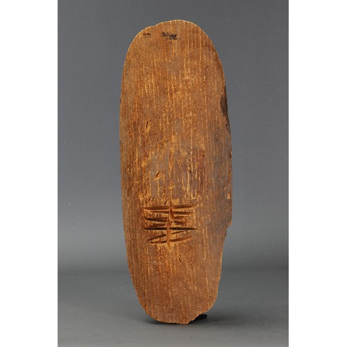 156 - Early SHIELD WITH FIRE TOOL MARKINGS, CENTRAL DESERT REGION, NORTHERN TERRITORY. Carved beanwood and... 