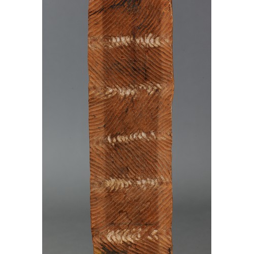 159 - Early Kimberley Shield, Western Australia. Carved and engraved hardwood. Approx L73.5 x 9.5cm. PROVE... 