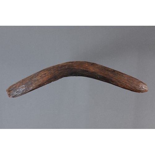 166 - Early Adzed Western Desert Boomerang, Western Australia. Carved and adzed hardwood. Of plano-convex ... 