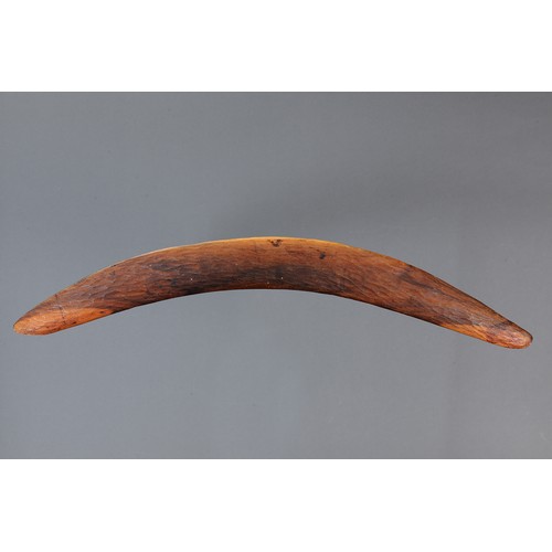 168 - Adzed Western Desert Boomerang, Western Australia. Carved and adzed hardwood. Of plano-convex sectio... 