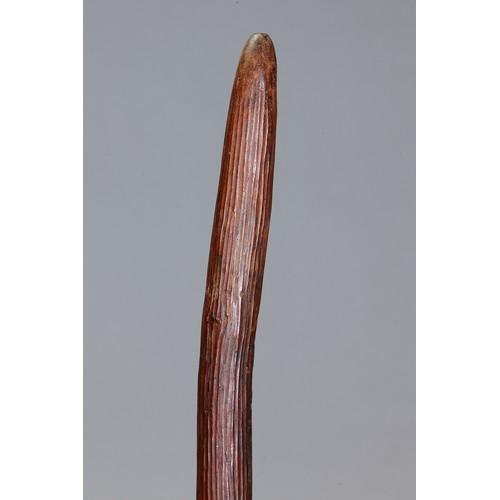 176 - Early FIGHTING Club, Western Australia. Carved and engraved hardwood. Approx L75cm. PROVENANCE John ... 