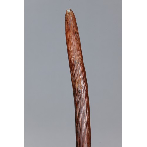 176 - Early FIGHTING Club, Western Australia. Carved and engraved hardwood. Approx L75cm. PROVENANCE John ... 