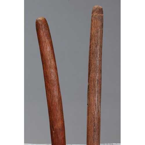 177 - Two Fine Early Pole Clubs, Western Desert/Central Australia. Carved and engraved hardwood and spinif... 