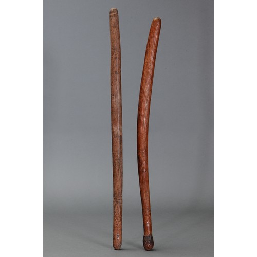 177 - Two Fine Early Pole Clubs, Western Desert/Central Australia. Carved and engraved hardwood and spinif... 