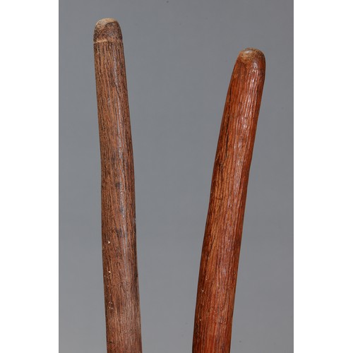 177 - Two Fine Early Pole Clubs, Western Desert/Central Australia. Carved and engraved hardwood and spinif... 