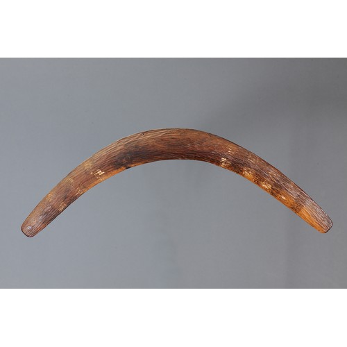 183 - Adzed Western Desert Boomerang, Western Australia. Carved and adzed hardwood. Of plano-convex sectio... 