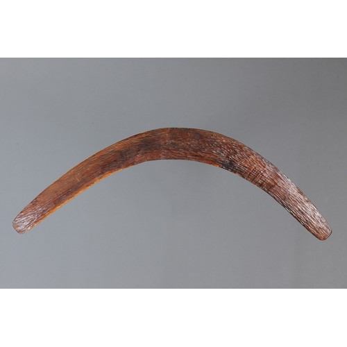 183 - Adzed Western Desert Boomerang, Western Australia. Carved and adzed hardwood. Of plano-convex sectio... 