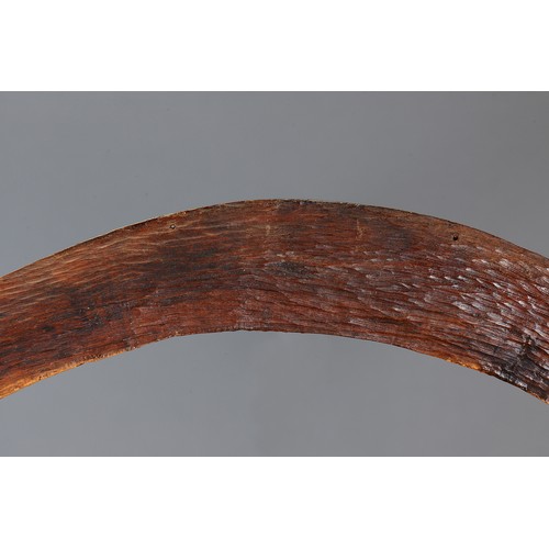 183 - Adzed Western Desert Boomerang, Western Australia. Carved and adzed hardwood. Of plano-convex sectio... 