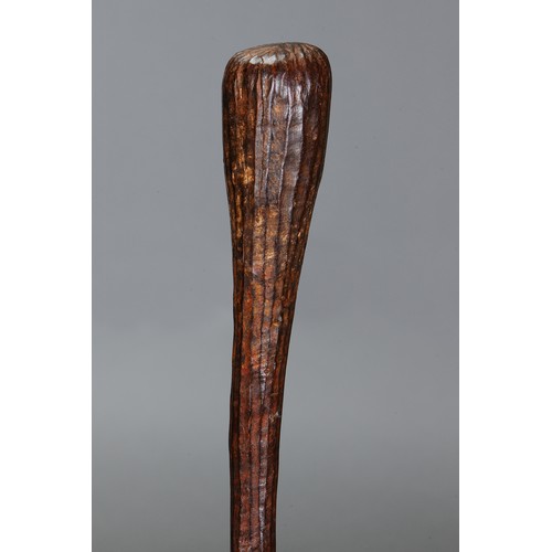 184 - Early Tiwi Throwing Club, Tiwi Group, Melville and Bathurst Islands, Northern Territory. Carved and ... 