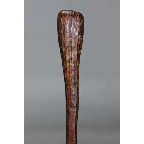 184 - Early Tiwi Throwing Club, Tiwi Group, Melville and Bathurst Islands, Northern Territory. Carved and ... 