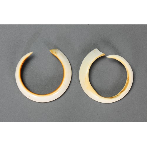 238 - Pair of Boar Tusks (near full circle), Vanuatu. Boar tusk. Approx 9cm diameter. PROVENANCE John Mage... 