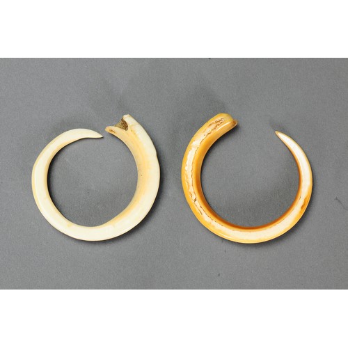 238 - Pair of Boar Tusks (near full circle), Vanuatu. Boar tusk. Approx 9cm diameter. PROVENANCE John Mage... 