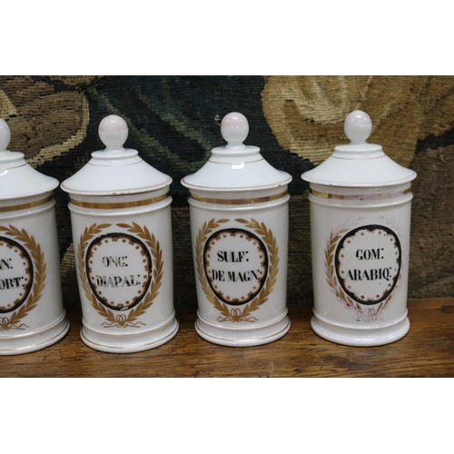 1023 - Set of seven French porcelain chemist bottles, each painted to front, each approx 20cm H (7)