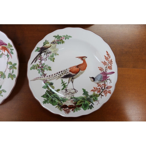 1027 - Set of four Portuguese plates, after the antique 1765 examples, painted with exotic birds, each appr... 