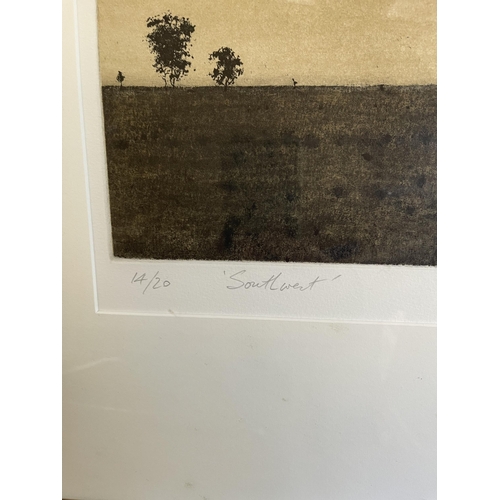 46 - Ian Grant (1947-) Australia, Southwest, etching, 14/20, approx 27 cm x 27.5 cm